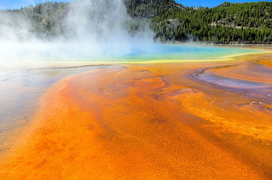 orange bacterial mats, hot, spring, pool, yellowstone, national, park, wyoming, geothermal, minerals