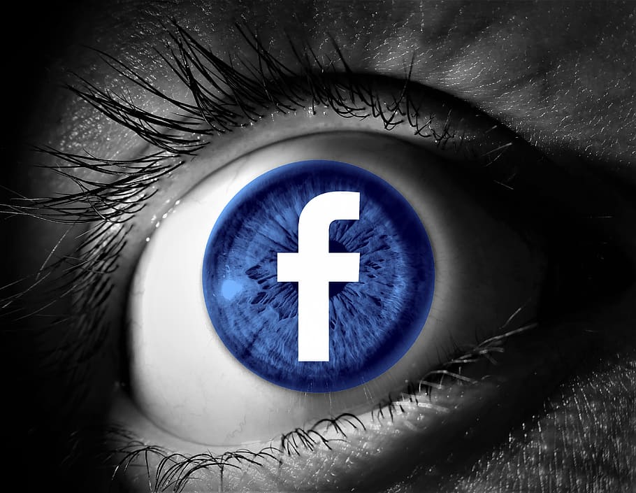 facebook, data, communication, information, internet, technology, connection, networking, community, social