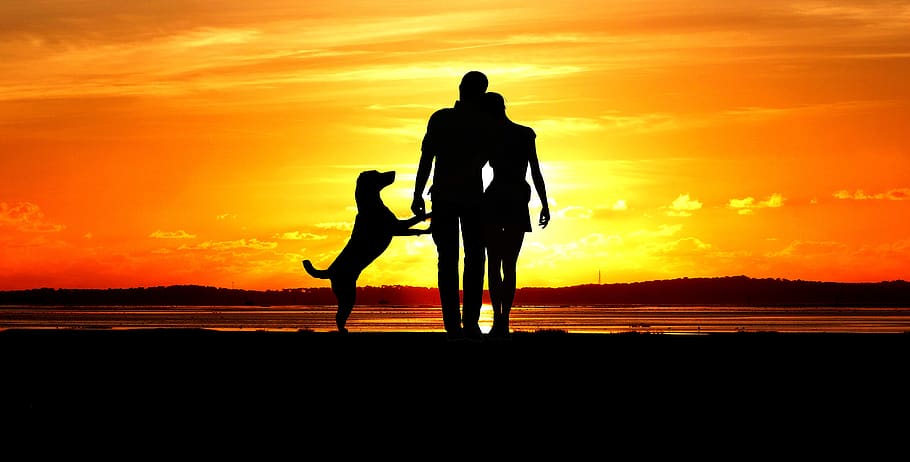 sunset, man, woman, dog, couple, silhouette, sky, romantic, sea, ocean