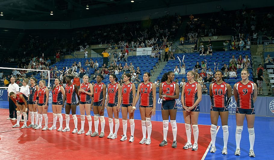 team, volley, ball, volleyball, women, sport, activity, thrill, crowd, group of people