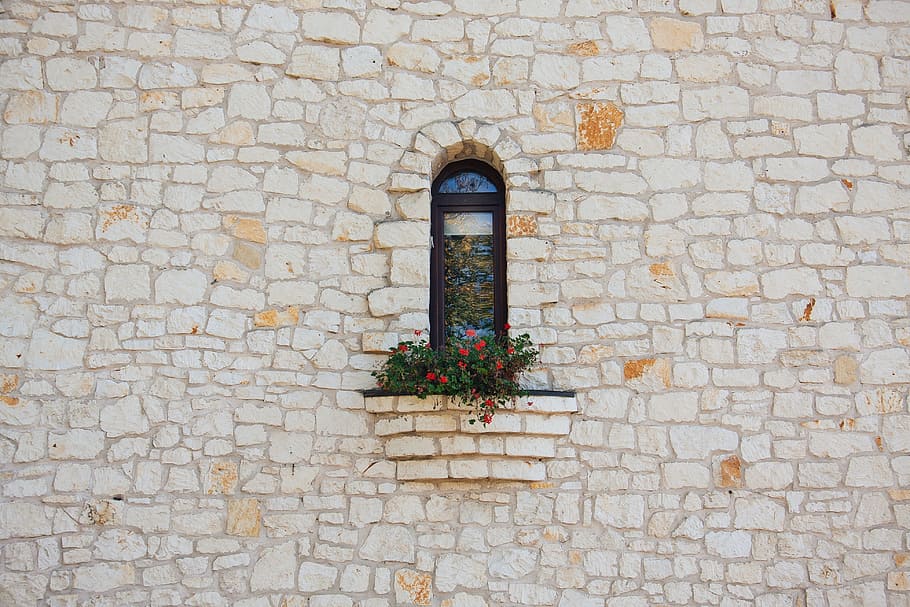 flower, window, wall, facade, stone wall, planter, ledge, brick, art, brickwork