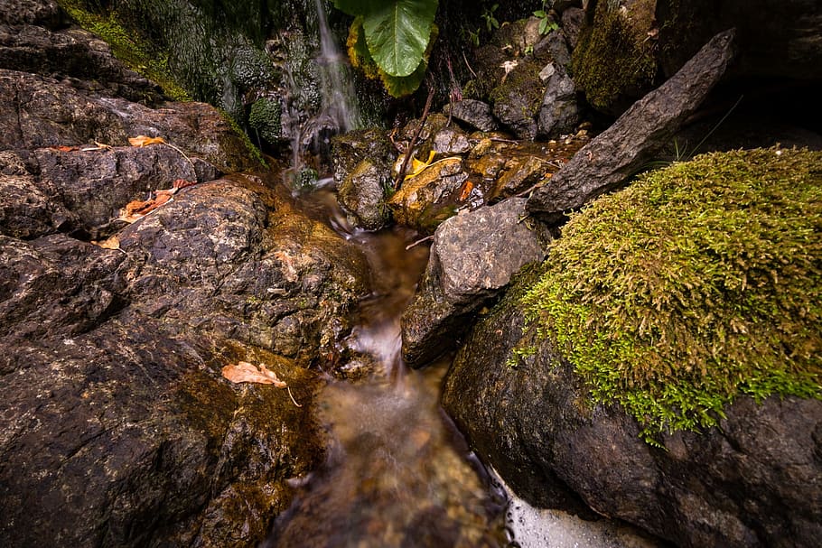 stream, water, green, moss, leaf, fall, nature, grass, landscape, rock