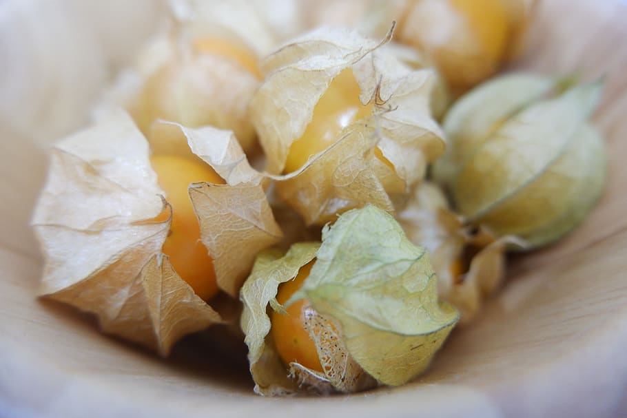 cape goose berries, unsteadily, french, golden bell, cape gooseberry, food and drink, close-up, food, freshness, healthy eating
