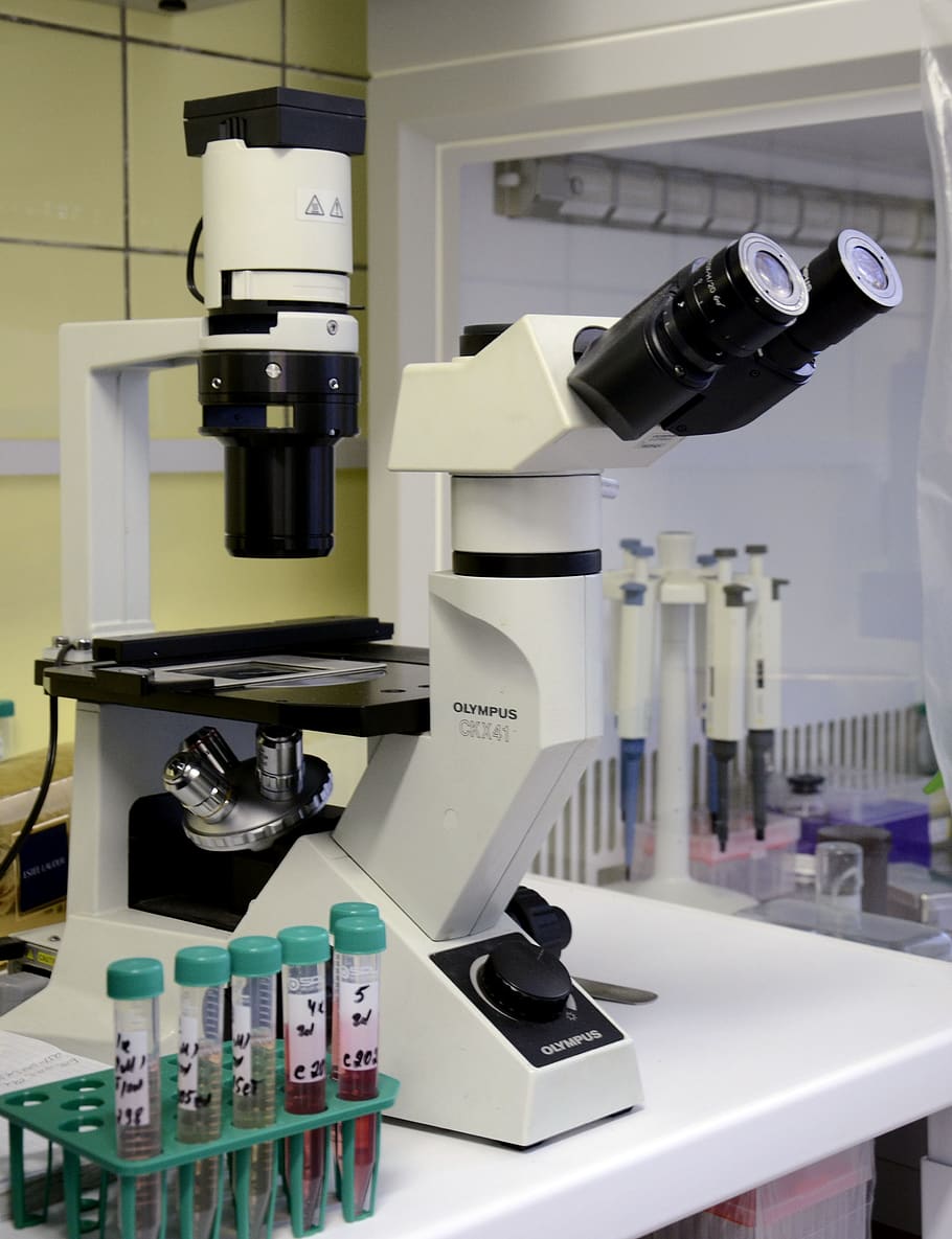 mikroskop, ilmu pengetahuan, mikrobiologi, biologi, sel, bakteri, percobaan, patogen, kesehatan, analisis