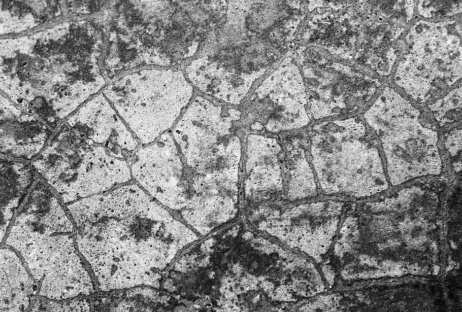 cracked concrete texture, concrete, texture, cracked, cracks, broken, pieces, background, backdrop, blank
