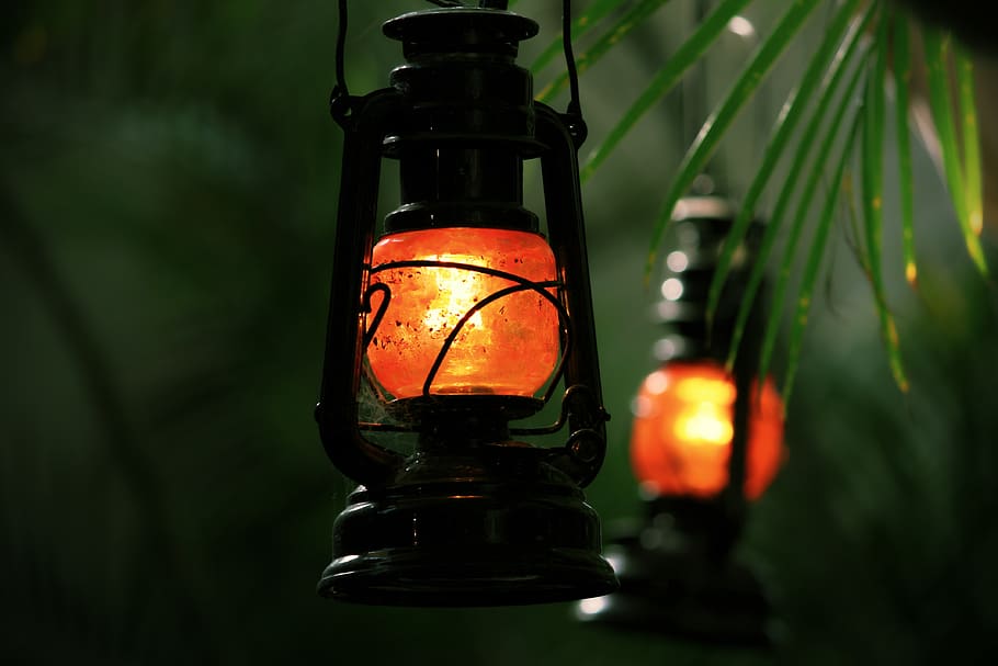 linterna, chiringuito, brillante, iluminación, luz, palmeras, hoja de palma, decorativo, usado, lámparas