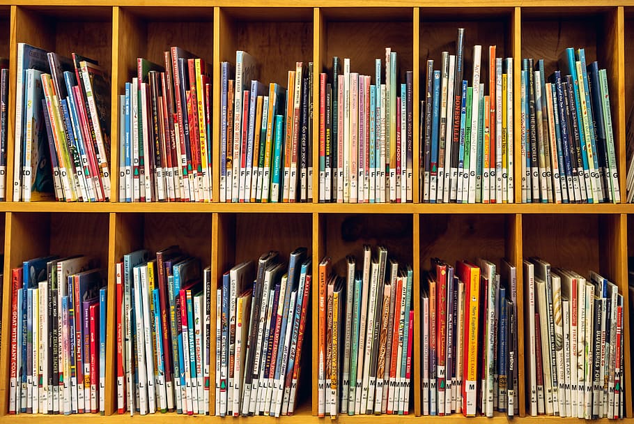 kid, shelf, books, book, reading, school, fun, hobby, library, fairy tales