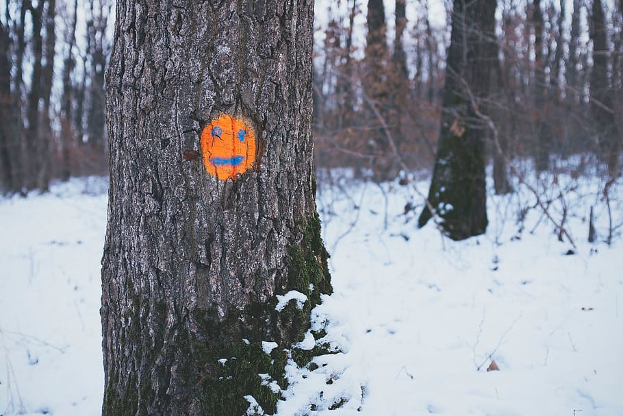 trees, orange, face, drawing, snow, forest, woods, smile, tree, tree trunk