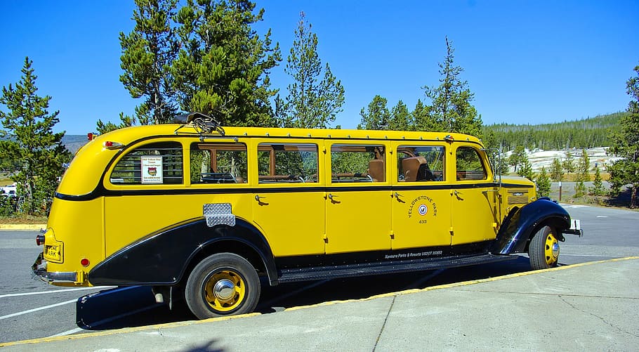 yellowstone park yellow bus, bus, antique, wyoming, yellow, yellowstone, national, park, white, motor
