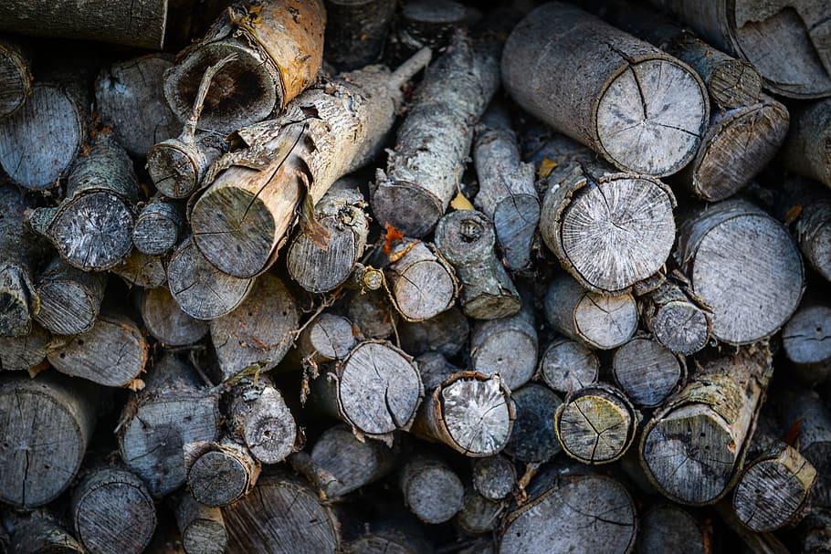 wood, nature, log, tree, firewood, fireplace, burn, dry, timber, large group of objects