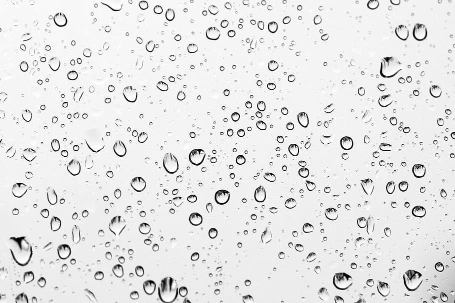 hujan, menitik, basah, tetesan, alam, air, latar belakang, tetesan hujan, tekstur, jendela
