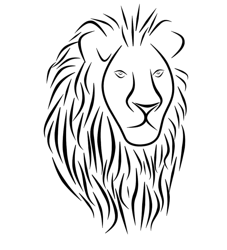 leão, desenho, preto, branco, tribal, tatuagem, cabeça, ícone, silhueta, animal