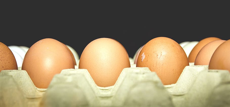 ovos frescos, páscoa, ovo, ovos, fresco, ovo fresco, ingrediente, ingredientes, comida, comida e bebida