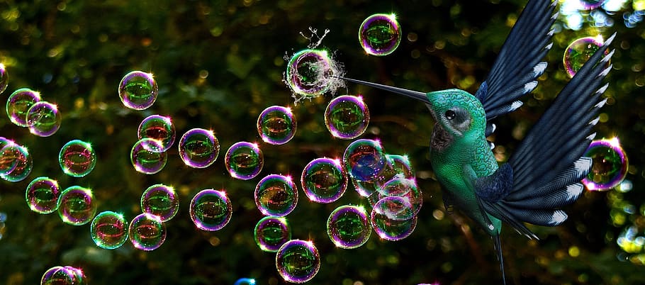 soap bubbles, bird, burst, fantasy, hummingbird, bubble, nature, focus on foreground, day, fragility