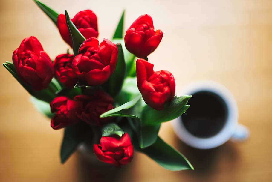 red, tulip, coffee, overhead, view, black, drink, food, nature, love