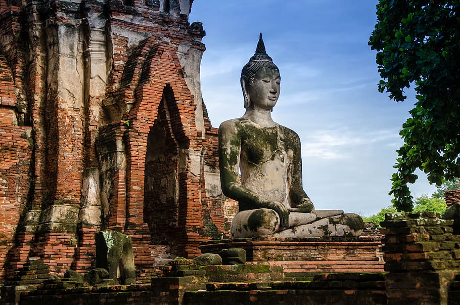 estátua de buda, tailândia, budismo, buda, estátua, religião, ásia, asiáticos, budista, cultura