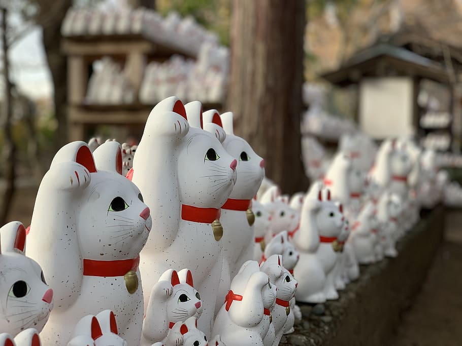 cat, japan, animal, landscape, mysterious, temple, representation, art and craft, creativity, white color