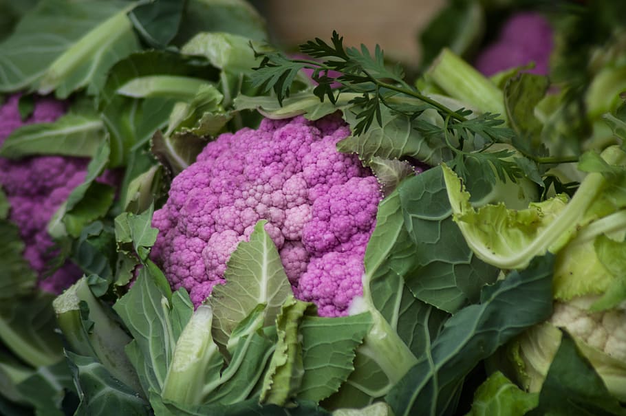 cauliflower, pink, vegetable, garden, market, freshness, leaf, food and drink, plant part, purple