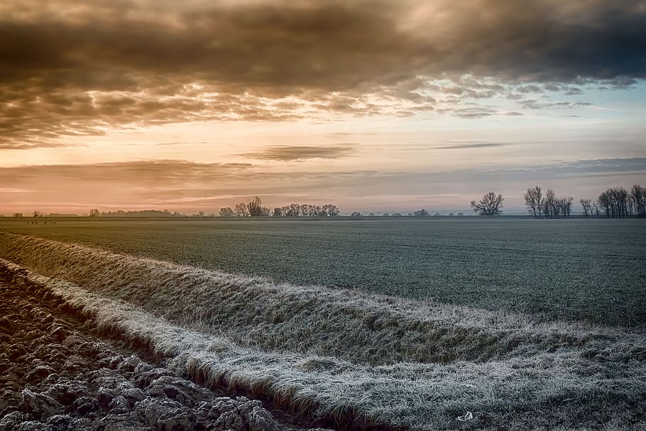 winter sunrise, field, cold, frosty, hdr photo, cloud - sky, sky, sunset, scenics - nature, beauty in nature
