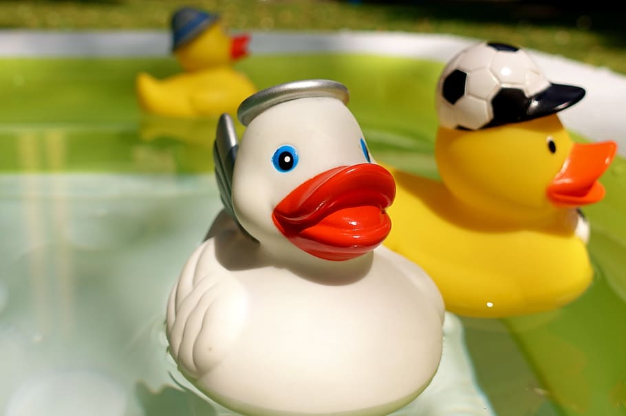 rubber ducks, quietscheenten, yellow, white, toys, squeak duck, bath duck, summer, funny, duck