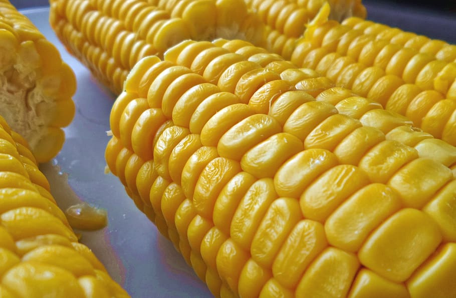 maíz en la mazorca, comida, amarillo, comida y bebida, maíz, vegetales, frescura, alimentación saludable, maíz dulce, primer plano