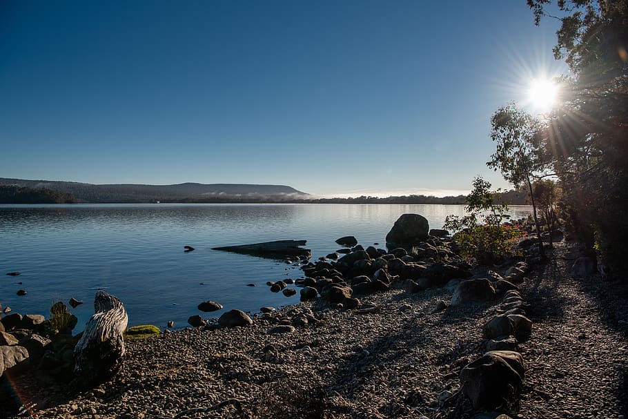 lake st clair, lake, cynthia bay, tasmania, nature, landscape, peaceful, still, calm, scenery