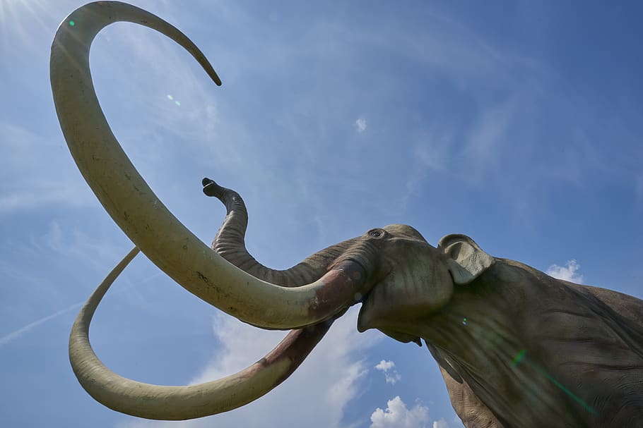 mammoth dinosaur extinct prehistoric times