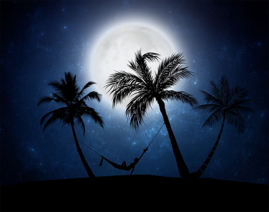 moon, night, dark, palms, hammock, silhouette, traquilidad, relax, person, sky