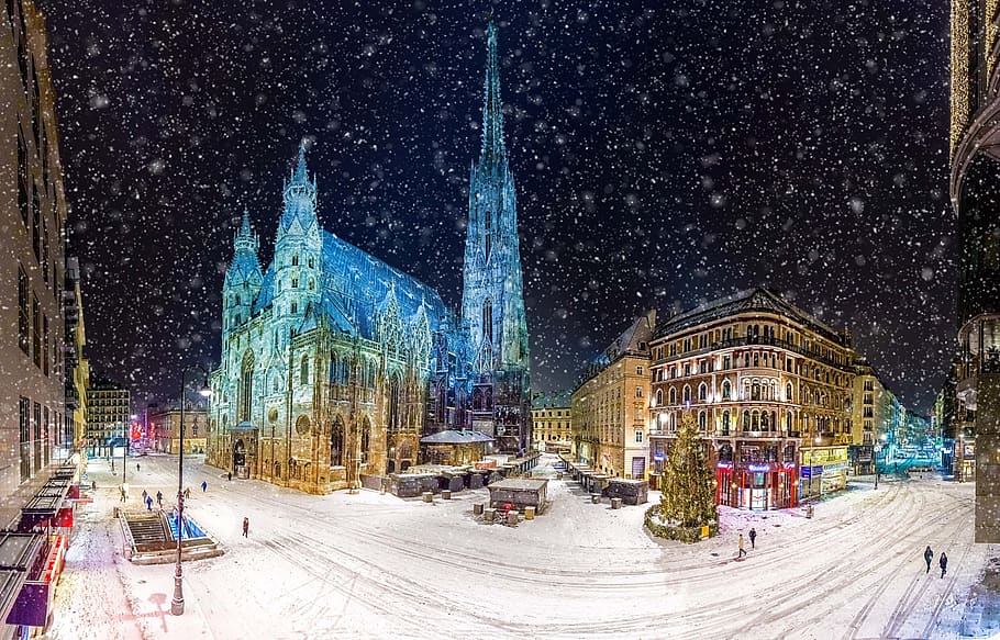 vienna, katedral st stephan, stephansplatz, austria, salju, salju turun, musim dingin, malam, panorama, pusat bersejarah