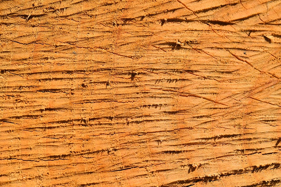 madeira, corte de madeira, tronco de árvore, marrom, raia de madeira, textura dura, artesanato em madeira, fundos, texturizado, padrão