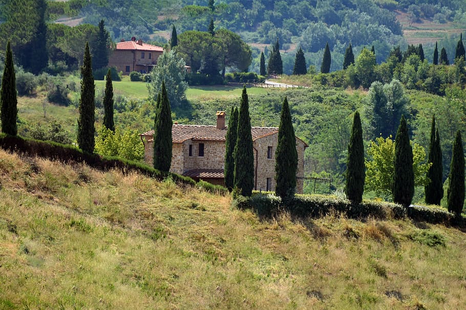 italy, toscana, green, house, landscape, nature, hill, field, summer, tourism