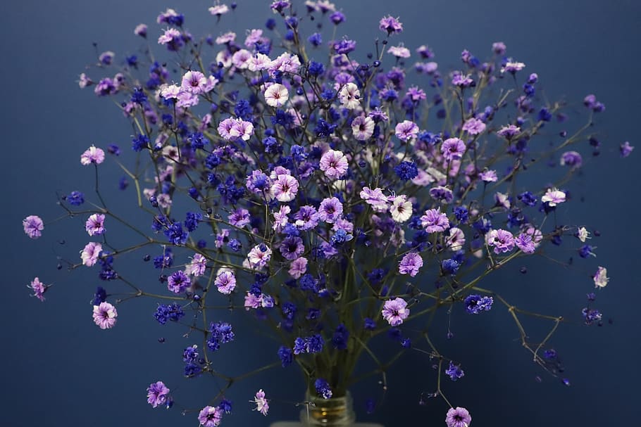 gypsophila, flowers, bouquet, atmosphere, vase, flowering plant, flower, freshness, plant, fragility