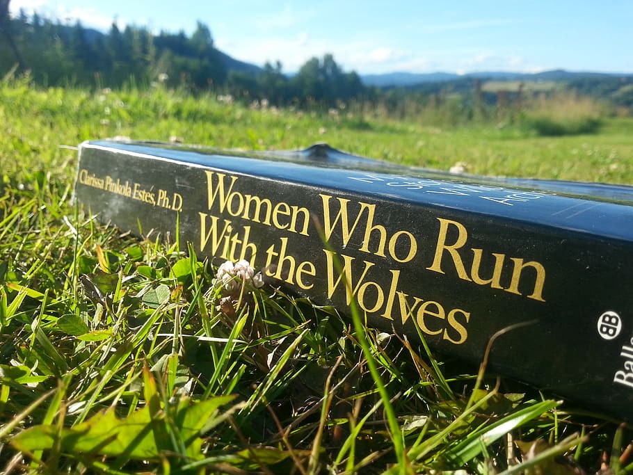 book, reading, read, women, wolf, wolves, literature, cover, author, literary