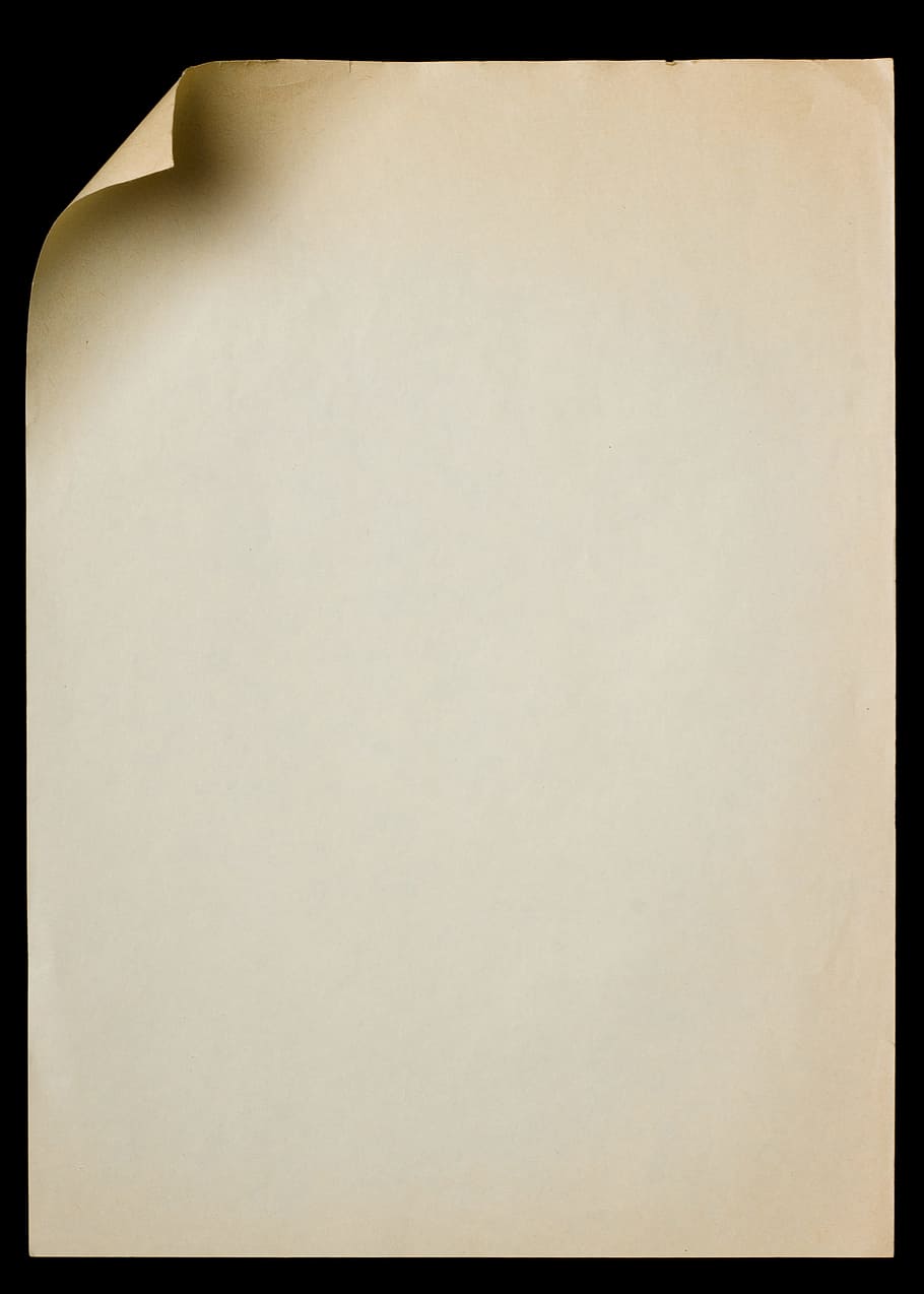 curl, paper, page, corner, folded, white, bend, isolated, document, nobody
