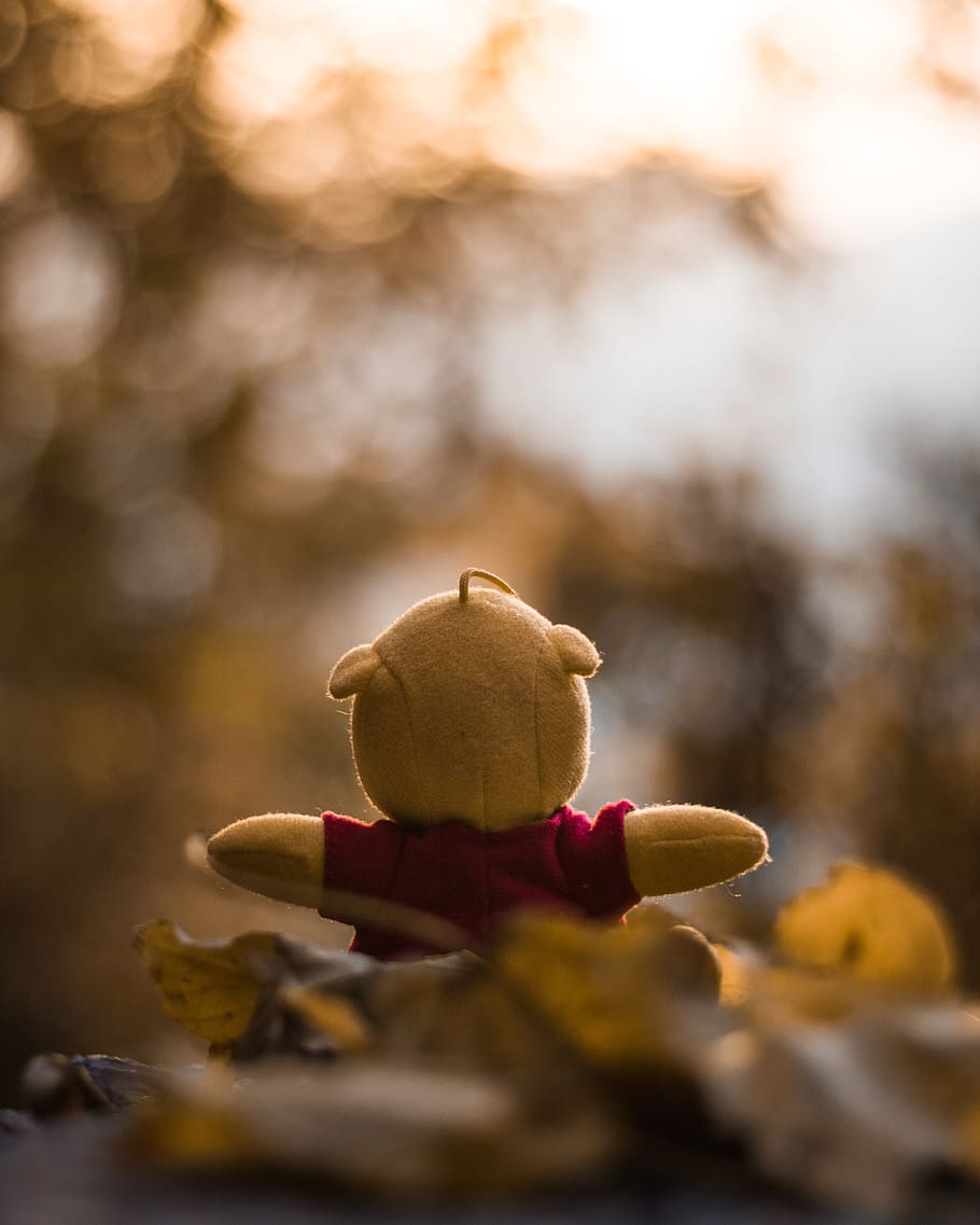 pu the bear, soft toy, plush, bokeh, food and drink, selective focus, plant, close-up, tree, food