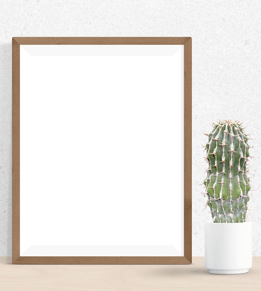 poster, frame, cactus, plant, desk, indoors, picture frame, nature, copy space, white color
