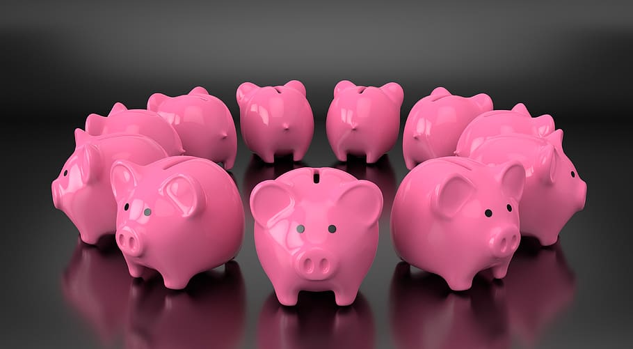 piggy, bank, money, save, finance, financial, loan, profit, dollar, pig