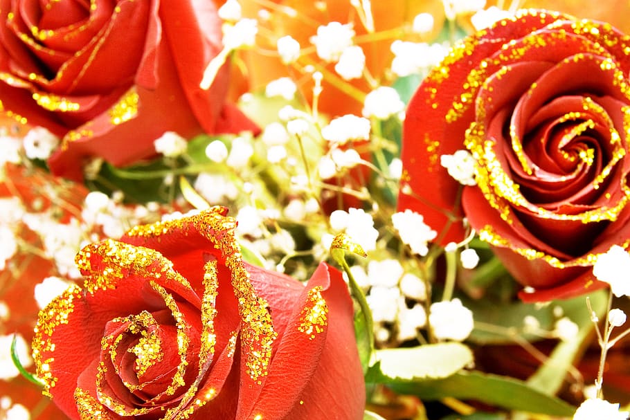 mawar, merah, batang, latar belakang, valentine, emas, dekorasi, konsep, closeup, hijau