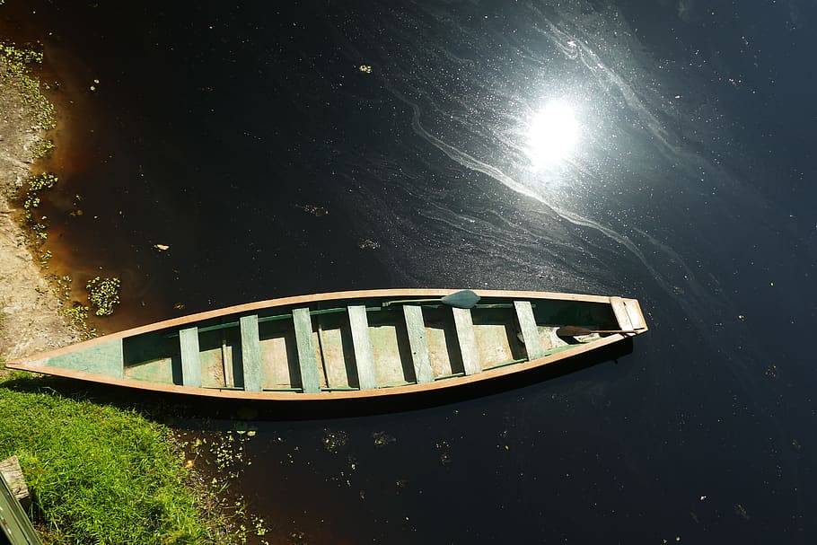 boat, lake, water, rowing boat, waters, rainforest, reflection, pond, bank, lakeside