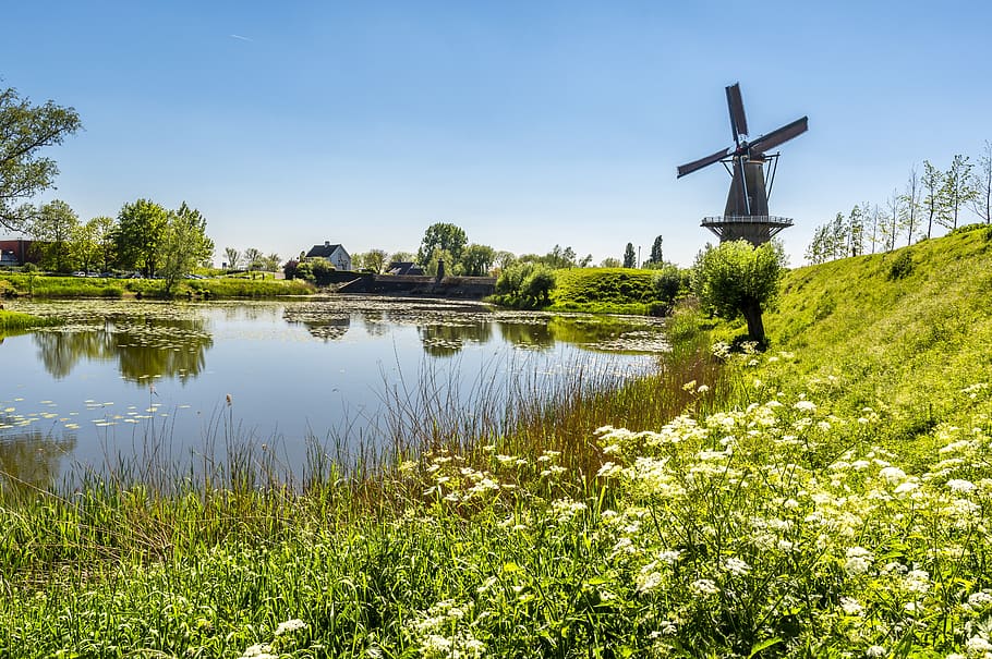 mill, water, flowers, landscape, idyllic, wind mill, old, plant, fuel and power generation, renewable energy