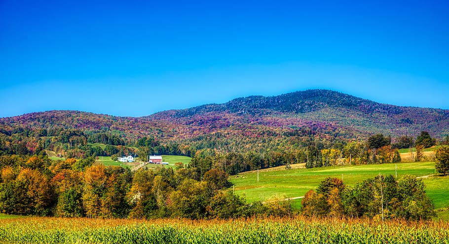 Vermont, Nueva Inglaterra, América, montañas, colinas, otoño, maíz, maizal, granja, pintoresco