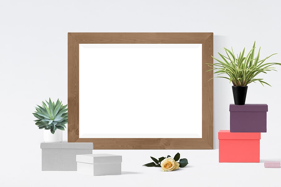 poster, frame, boxes, plants, plant, indoors, nature, copy space, potted plant, studio shot