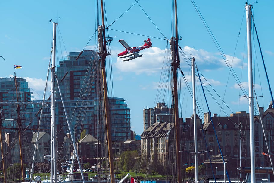 victoria, airplane, seaplane, landing, masts, downtown, flying, travelling, tourism, sunny