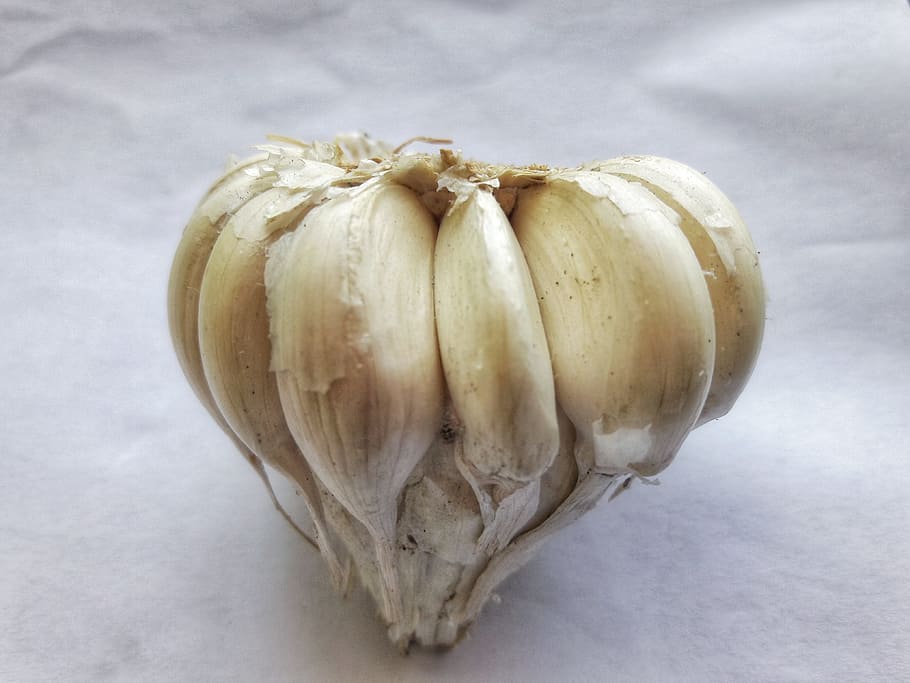 garlic, isolated, white, background, garlic cloves, garlic bulb, white background, ripe, spicy, healthy