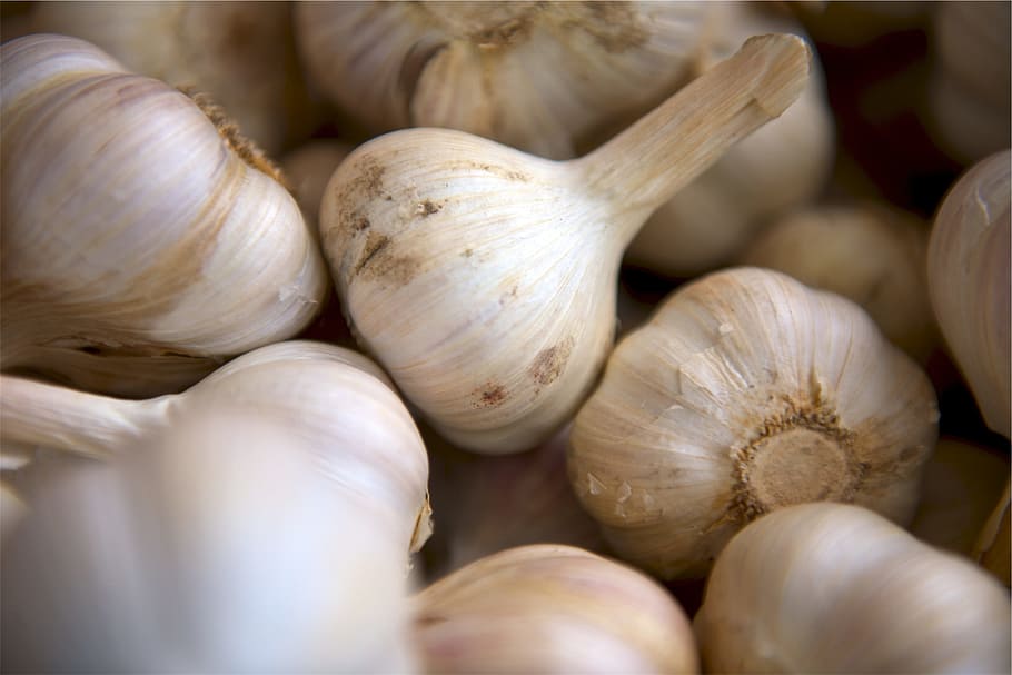 garlic, cloves, food, ingredients, food and drink, vegetable, freshness, wellbeing, healthy eating, ingredient