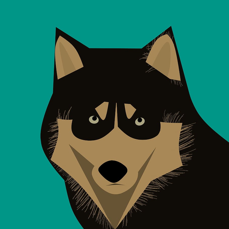 husky, ilustrasi anjing, mencari, kamera., anjing, hewan, anjing salju, wajah, anjing muda, mata