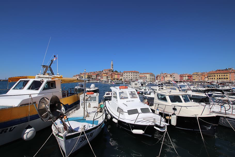 croatia, boats, rovinj, harbour, port, sea, summer, boat, ships, mode of transportation